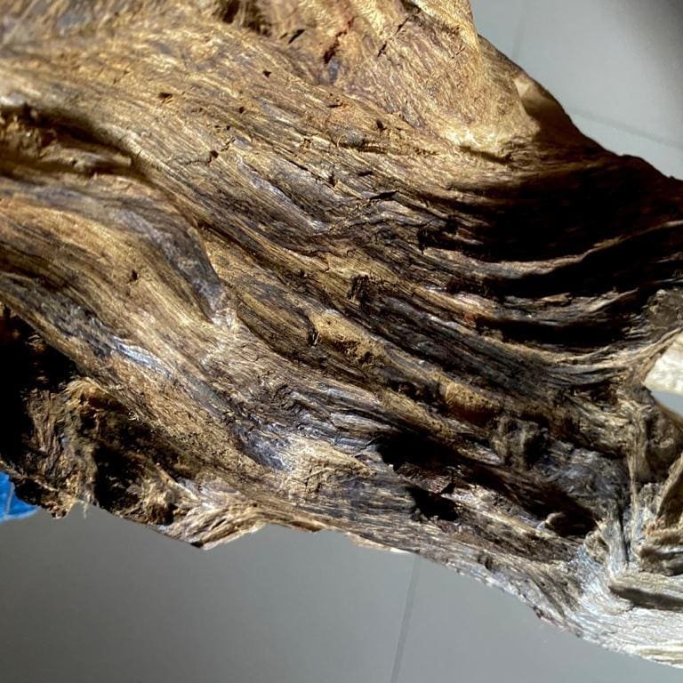Wild Kalimantan Agarwood Decoration