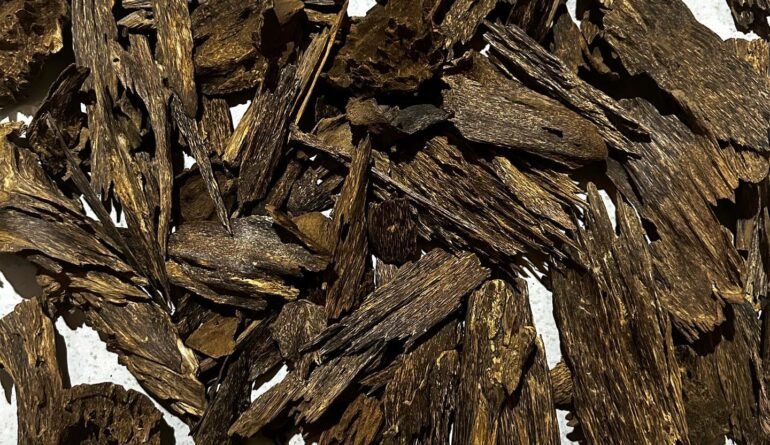 marvel_oud_1694459818_3189682603360176429_49318356352