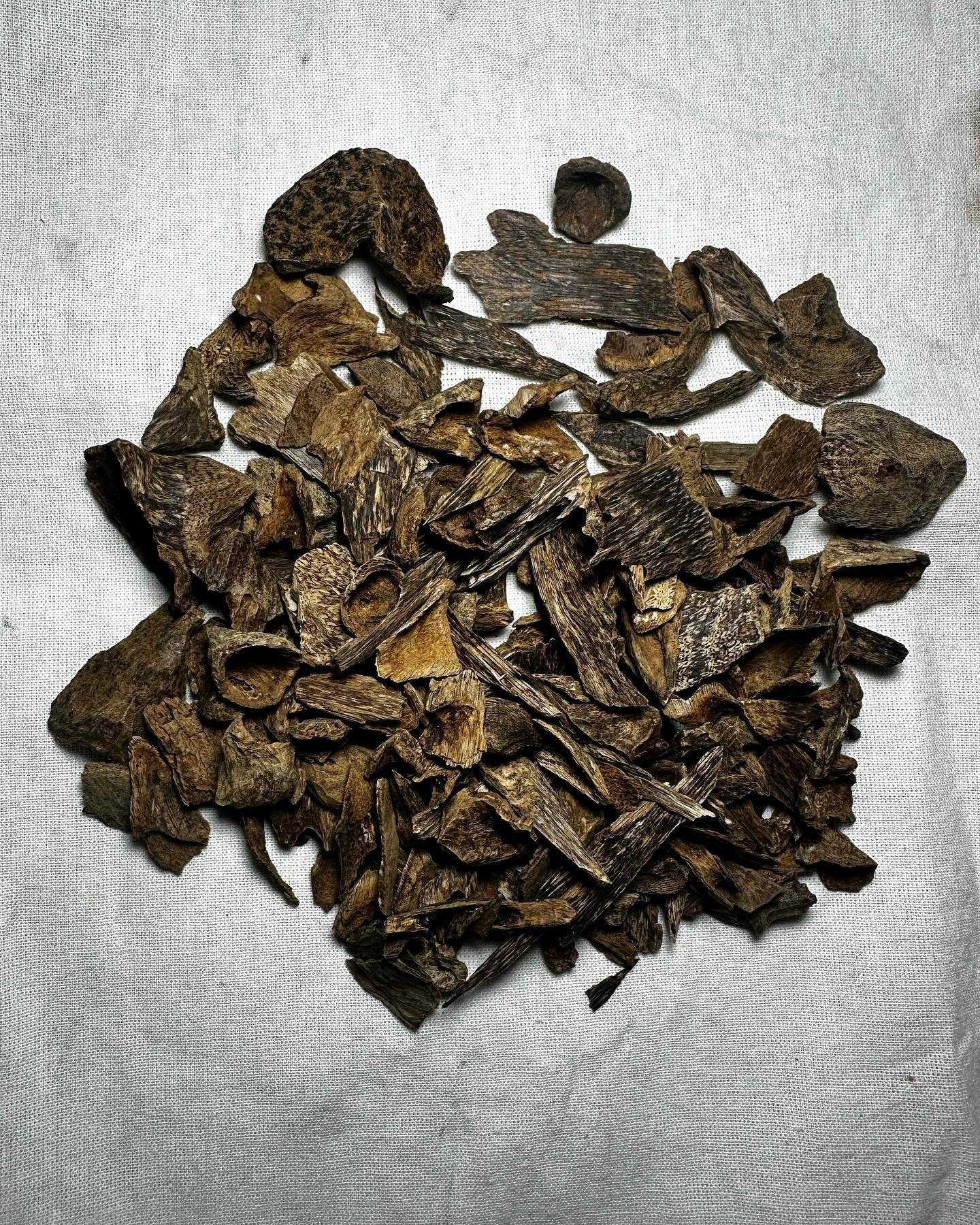 Wild North Seram Maluku Agarwood Burn Chips