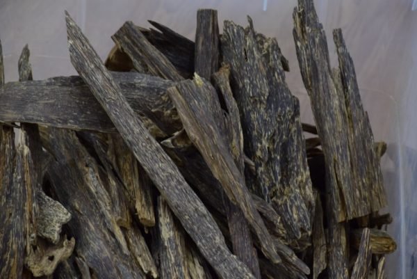 Wild Brunei Double Super Agarwood